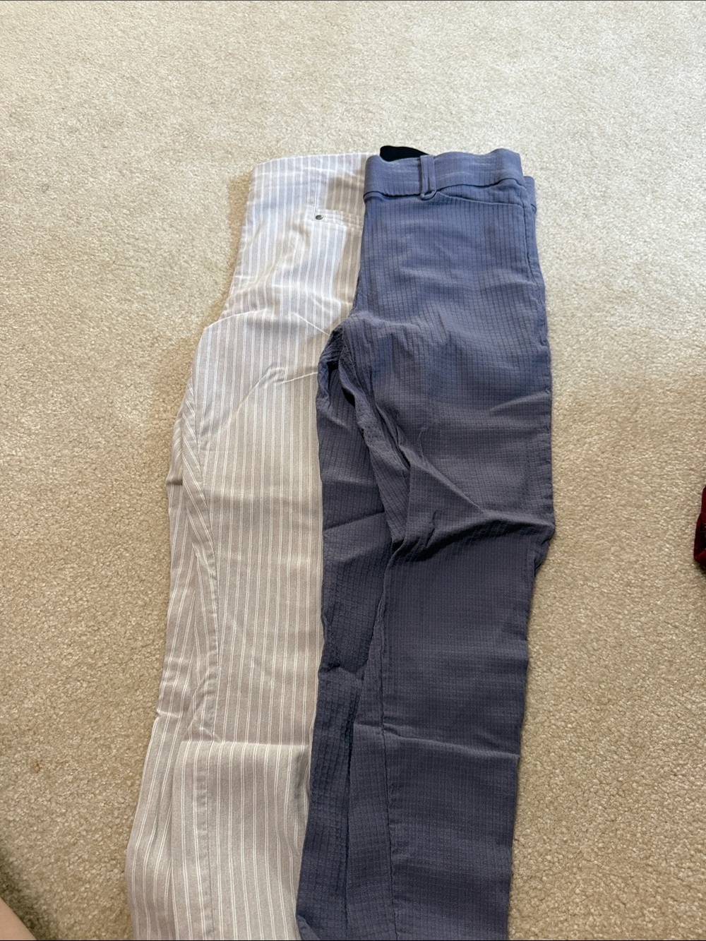 Women’s maurice’s dress pants